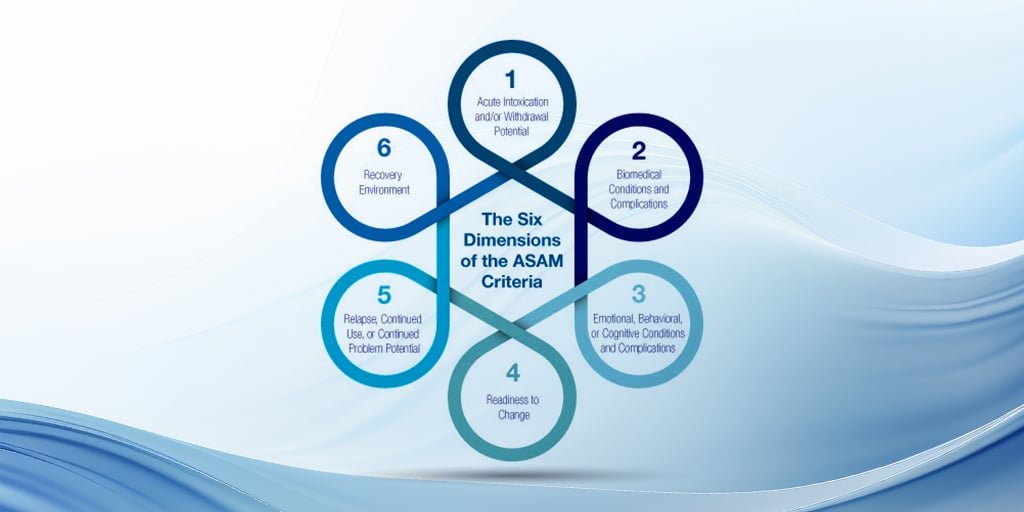 Six Dimensions of the ASAM Criteria
